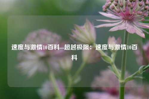 速度与激情10百科--超越极限：速度与激情10百科