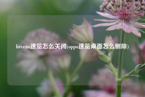 breeno速览怎么关闭(oppo速览桌面怎么删除)