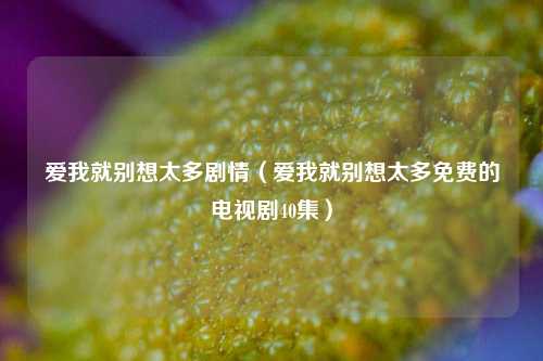 爱我就别想太多剧情（爱我就别想太多免费的电视剧40集）