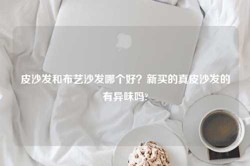 皮沙发和布艺沙发哪个好？新买的真皮沙发的有异味吗?