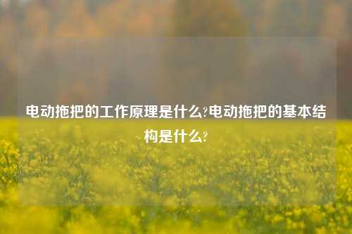 电动拖把的工作原理是什么?电动拖把的基本结构是什么?