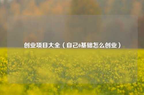 创业项目大全（自己0基础怎么创业）