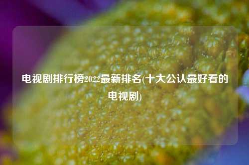 电视剧排行榜2022最新排名(十大公认最好看的电视剧)