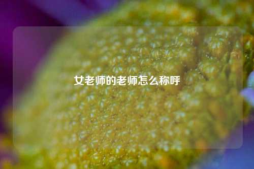 女老师的老师怎么称呼