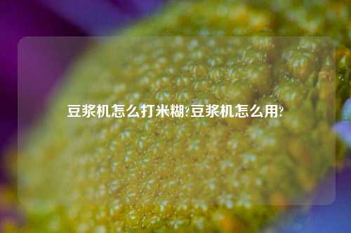 豆浆机怎么打米糊?豆浆机怎么用?