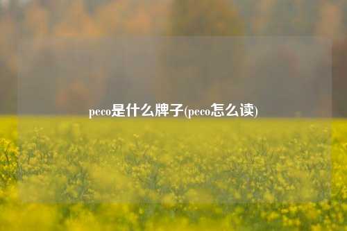 peco是什么牌子(peco怎么读)