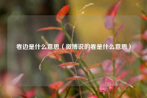 卷边是什么意思（微博说的卷是什么意思）