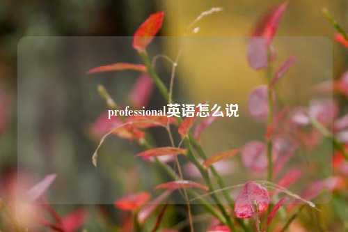 professional英语怎么说