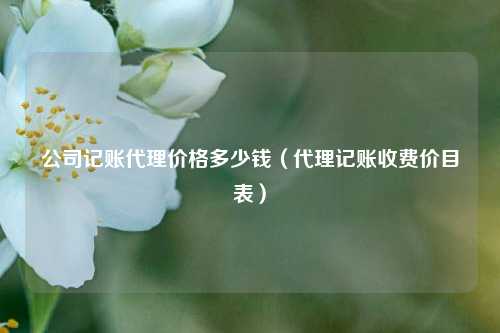 公司记账代理价格多少钱（代理记账收费价目表）