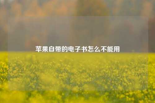 苹果自带的电子书怎么不能用