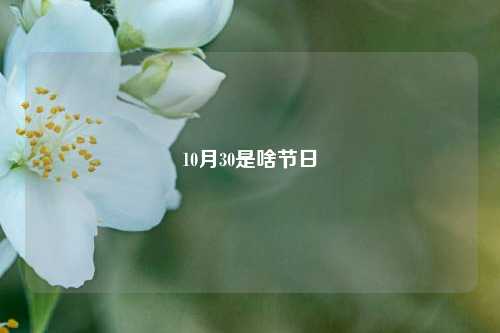 10月30是啥节日