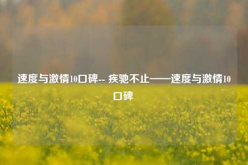 速度与激情10口碑-- 疾驰不止——速度与激情10口碑 