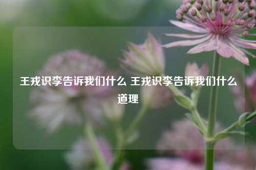 王戎识李告诉我们什么 王戎识李告诉我们什么道理