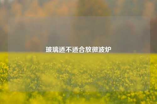 玻璃适不适合放微波炉