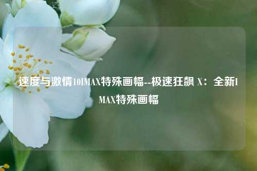 速度与激情10IMAX特殊画幅--极速狂飙 X：全新IMAX特殊画幅