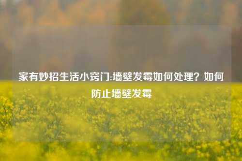 家有妙招生活小窍门:墙壁发霉如何处理？如何防止墙壁发霉