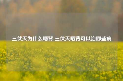 三伏天为什么晒背 三伏天晒背可以治哪些病