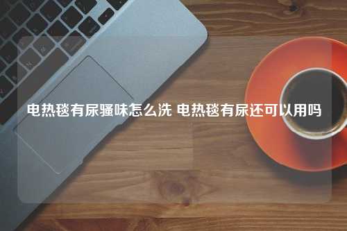 电热毯有尿骚味怎么洗 电热毯有尿还可以用吗