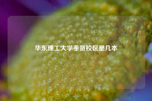 华东理工大学奉贤校区是几本