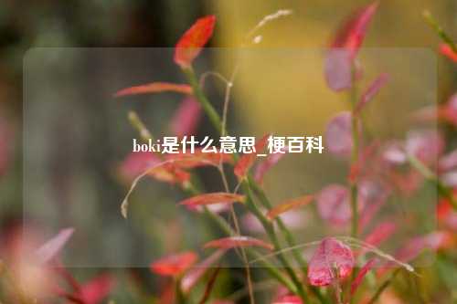 boki是什么意思_梗百科