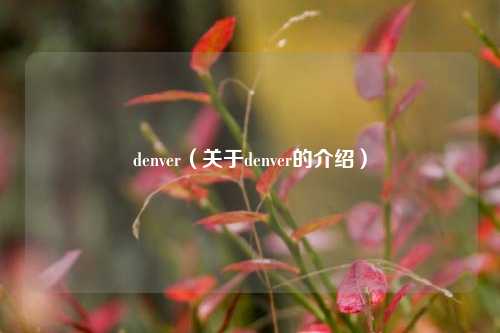 denver（关于denver的介绍）