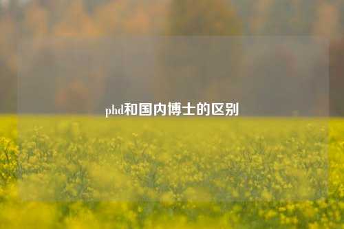 phd和国内博士的区别