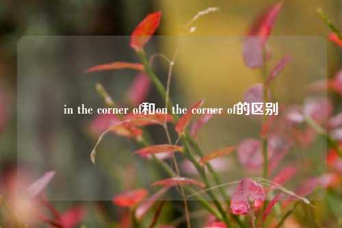 in the corner of和on the corner of的区别