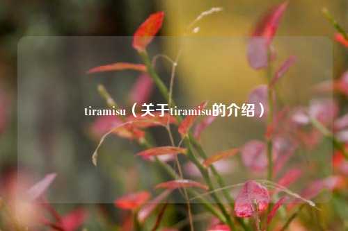 tiramisu（关于tiramisu的介绍）