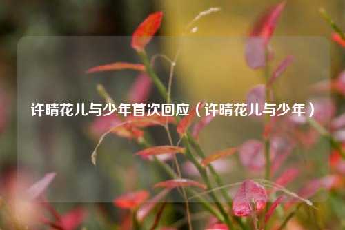 许晴花儿与少年首次回应（许晴花儿与少年）