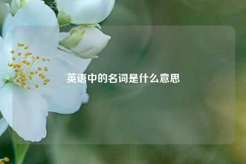 英语中的名词是什么意思