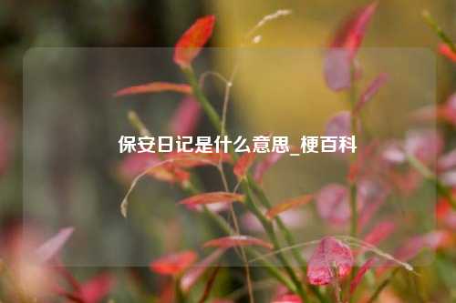 ​保安日记是什么意思_梗百科