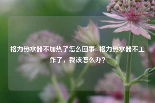 格力热水器不加热了怎么回事--格力热水器不工作了，我该怎么办？