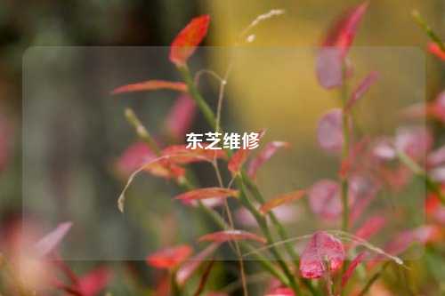 东芝维修