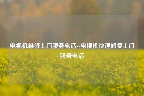 电视机维修上门服务电话--电视机快速修复上门服务电话