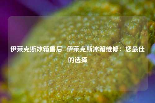 伊莱克斯冰箱售后--伊莱克斯冰箱维修：您最佳的选择