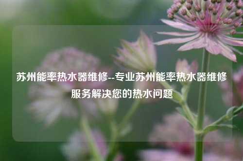 苏州能率热水器维修--专业苏州能率热水器维修服务解决您的热水问题