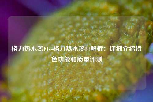 格力热水器F1--格力热水器F1解析：详细介绍特色功能和质量评测