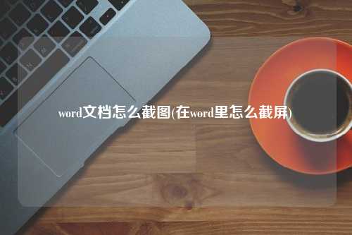 word文档怎么截图(在word里怎么截屏)