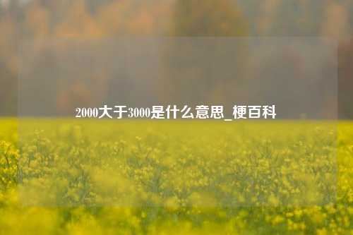 2000大于3000是什么意思_梗百科