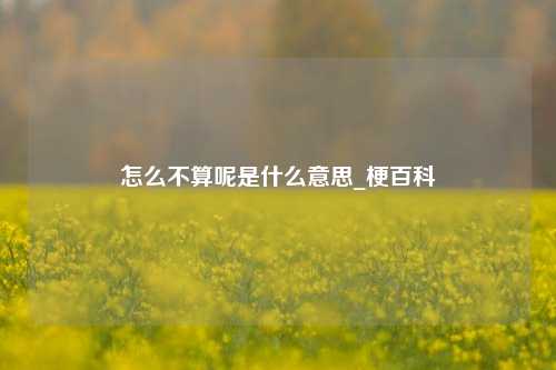 怎么不算呢是什么意思_梗百科