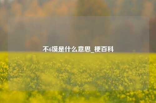 不6馍是什么意思_梗百科