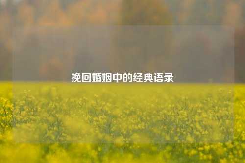 挽回婚姻中的经典语录