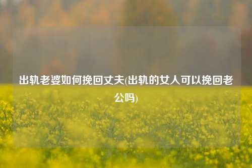 出轨老婆如何挽回丈夫(出轨的女人可以挽回老公吗)