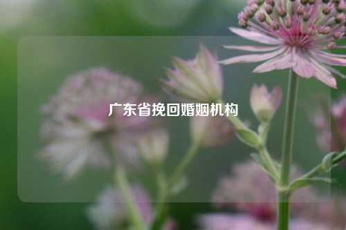 广东省挽回婚姻机构