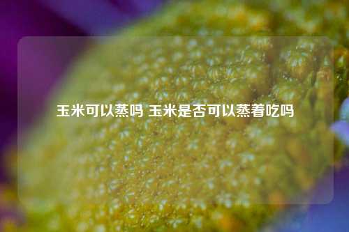 玉米可以蒸吗 玉米是否可以蒸着吃吗