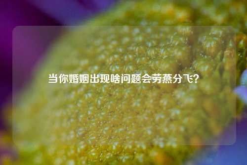 当你婚姻出现啥问题会劳燕分飞？