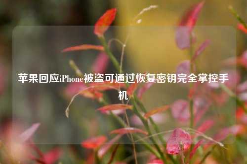 苹果回应iPhone被盗可通过恢复密钥完全掌控手机