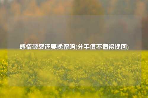 感情破裂还要挽留吗(分手值不值得挽回)