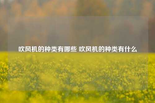 吹风机的种类有哪些 吹风机的种类有什么