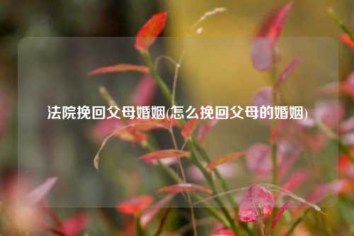 法院挽回父母婚姻(怎么挽回父母的婚姻)